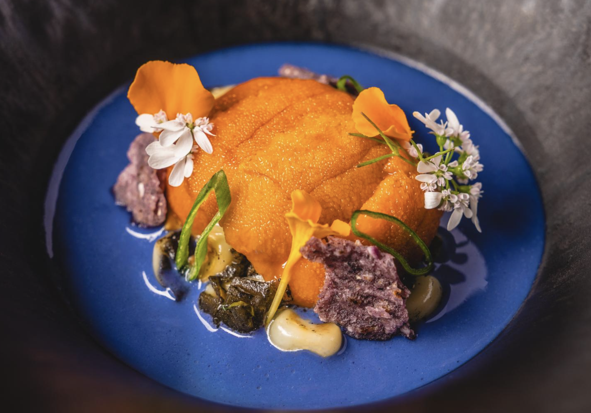 Screenshot 2024-10-21 at 2.35.11 PM